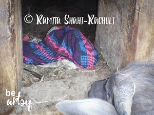 Ramita Shahi-Rachuli-inside-the-cowshed
