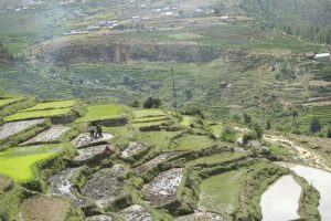 Travel Log - Chilkhaya - Rato Baltin - be artsy ngo