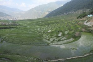 Travel Log - Chilkhaya - Rato Baltin - be artsy ngo