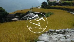 Plan Himalaya