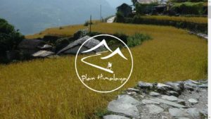 Plan Himalaya does not only care for creating unique travel experiences...