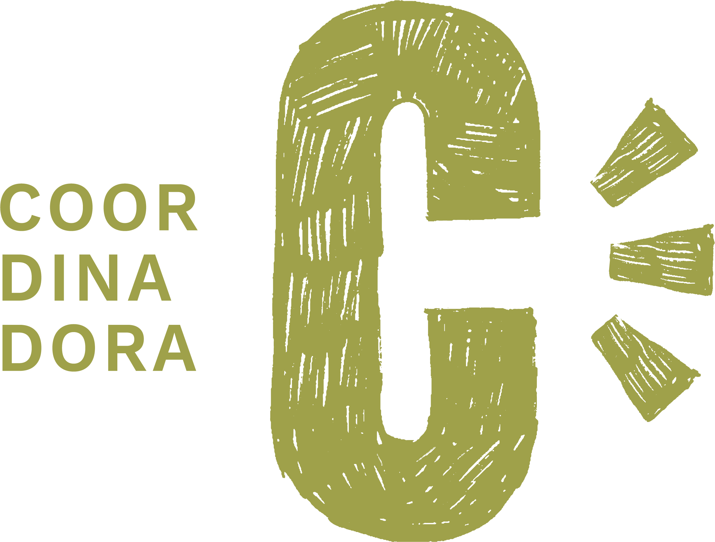 Coordinadora d’ONG Solidàries